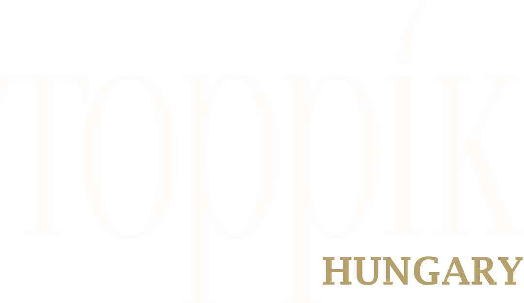 TOPPIK.HU logo