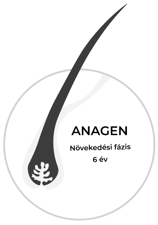Anagen