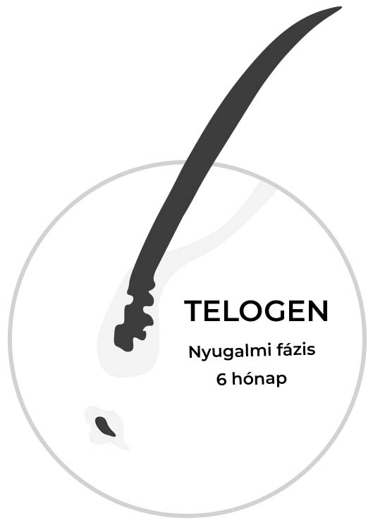 TELOGEN
